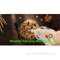 professionelle verarbeitete Walnusskerne leichte Bernsteinhälften